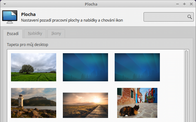 Plocha